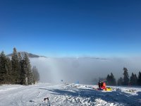 Westcup Heimrennen 2026